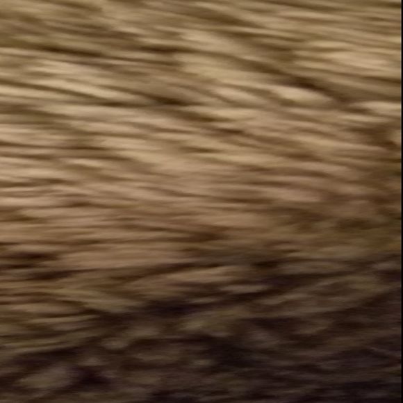 lindawitham